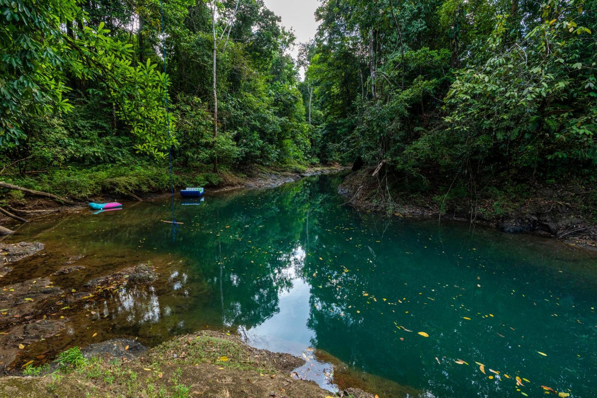 Drake Bay River View Εξωτερικό φωτογραφία